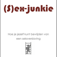 (sex)-junkie - Ben Ingerman