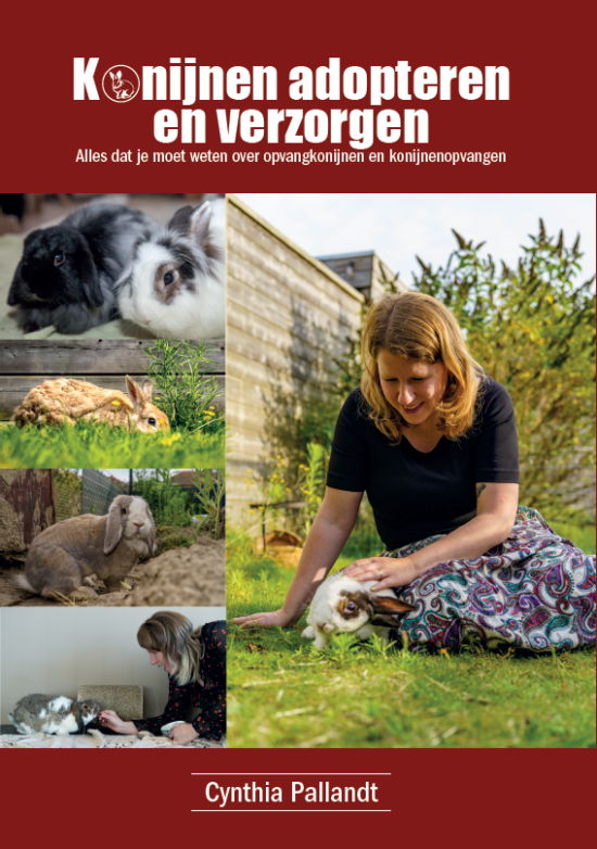 Konijnen adopteren en verzorgen