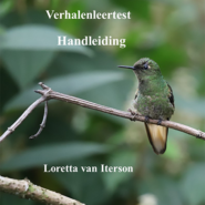 iter-SEIN verhalenleertest