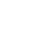Step icon