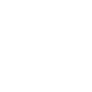 Step icon