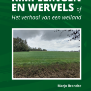 Rimpelingen en wervels