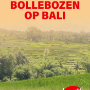 Bollebozen op Bali